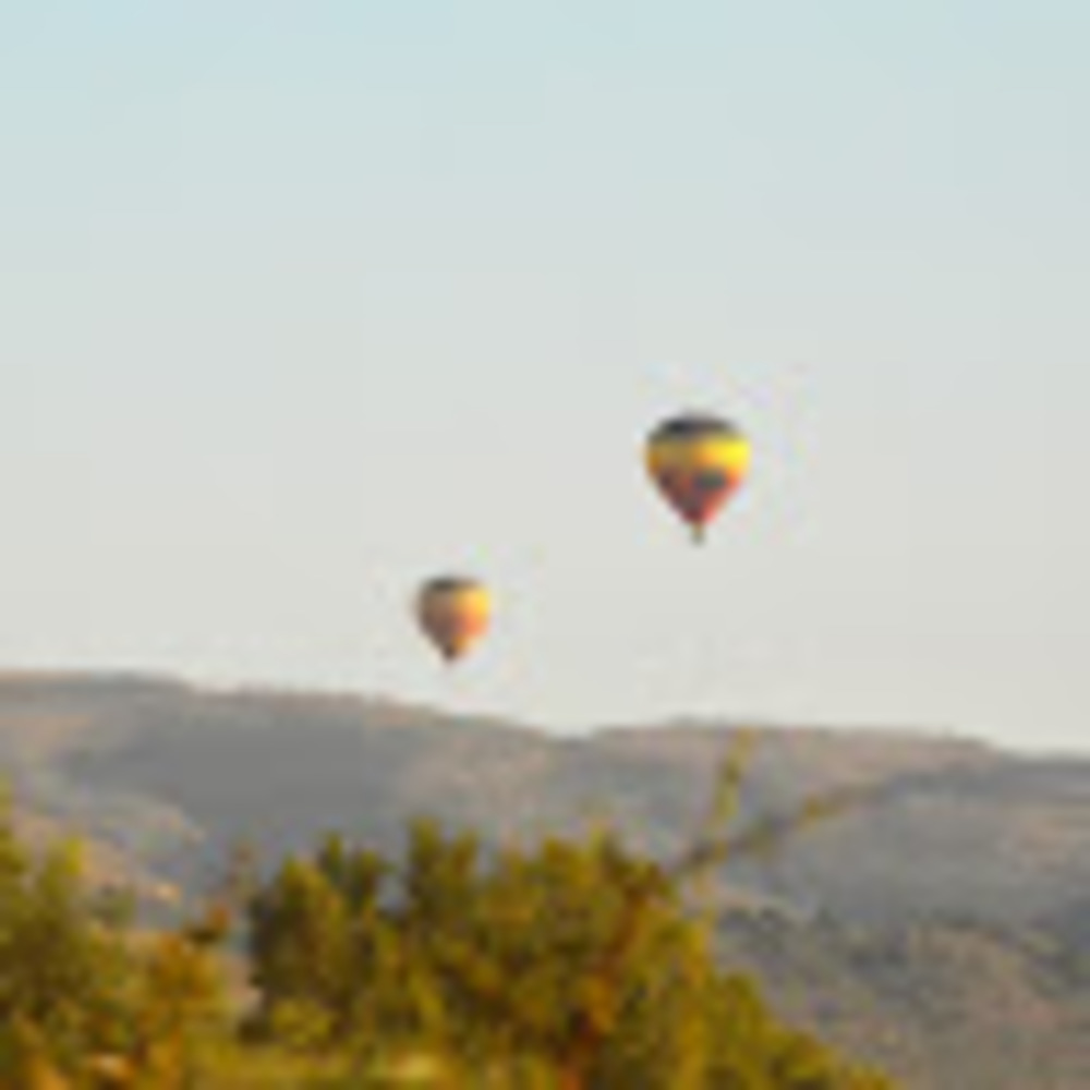 Meet your Posher, Philomena